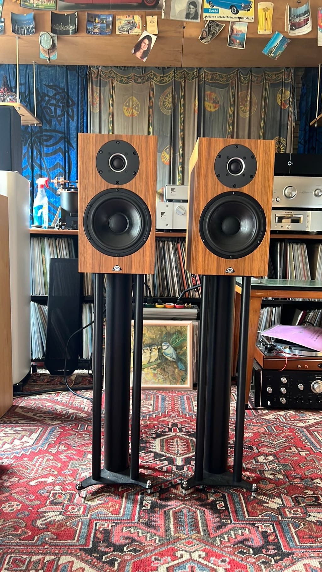 Kudos Cardea C10 Monitor Luidsprekers inclusief Stands